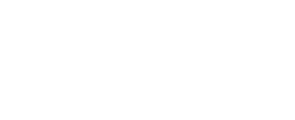 L'Ami